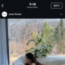 [Wedding] 라본누벨 스튜디오 수이(sooe) 플라워디렉팅 계약후기