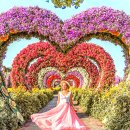 상상가든 이미지