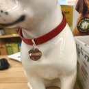 펫파크 동백점 이미지