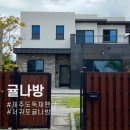 귤나방 이미지