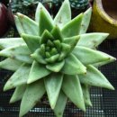 동운농장 이미지