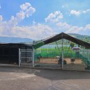 단짠아쿠아 삼천점 이미지