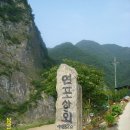 연포상회