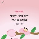 클릭한번 | 🌸 [카카오뱅크] 2026 벚꽃 이벤트 총정리｜클릭 한 번에 현금 받는 방법💰