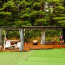 파인힐애견펜션 이미지