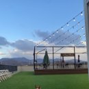 테라스애견미용카페 이미지