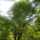 스타벅스 양주송추DT점 이미지