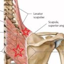 경희이매한의원 이미지
