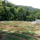 품속농장 이미지