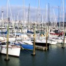 오크랜드 이미지