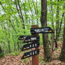 송림길삼거리 이미지