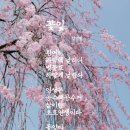 꽃잎 이미지