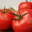 찬이농장 이미지