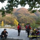 호명주유소 이미지