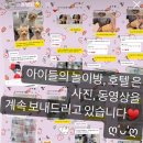 봉 그루밍 이미지