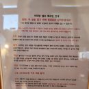 제주도조용한게스트하우스산방산 | 제주도 혼자여행, 조용한 게스트하우스 산방산점 연박 후기 [제조게하]