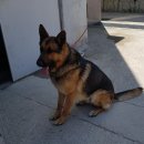 모전119안전센터 이미지