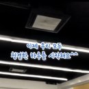 백운(태권도) 이미지