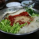 청송산오징어 Daum카페