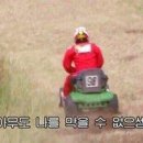 양옥집소정원 이미지