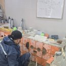 타일기능사 이미지