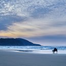 신안센터-9 이미지