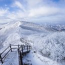 1월 7일 토요당일 - 100대 명산 소백산 비로봉 + 국망봉+연화봉 산행 안내 - 신청하기 이미지