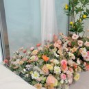 곰돌이PC | 백일 사진 스튜디오 아기 증명사진 위례사진관 41개월 방문 후기