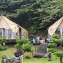 힐링올레 | 제주도캠핑장 제주올레캠핑에서 제대로 힐링하고 온 후기