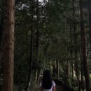 나무아래분식 이미지