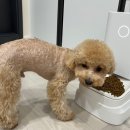구울래튀길래꼬치 이미지