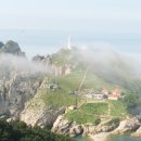 충무대구탕 이미지