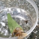 미추어린이집 이미지