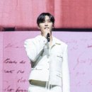 2024 박서준 팬미팅 서준시 후기