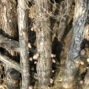 순이농장 이미지