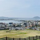 가시리 풀하우스 이미지