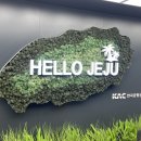 세화게스트하우스 물음표 | 나혼자 제주🍊(1)