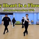 라인댄스 중급A 이미지