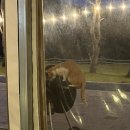 리버힐링 이미지