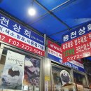 용천상회 - 18147 | 용천상회