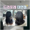 (주)태강엘리베이터 | [대연동미용실] 드라포레 대연점 :: 레이어드펌 | 중단발펌 | 중단발빌드펌