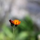 우리들 편의점 이미지