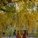 영천서원 이미지