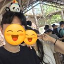 에버랜드 튤립축제 후기 (Everland 봄 시즌) 봄 나들이 커플 데이트❤️