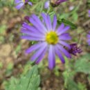 청하 농장 이미지