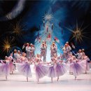 예술의전당 영상화사업 SAC on Screen- 호두까기 인형 이미지