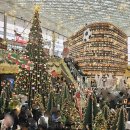 무교낙지 | 삼성동 코엑스몰 맛집 현지인추천 무교낙지 솔직후기 (무교낙지 코엑스몰점)