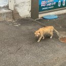 씨후레쉬(주) | 6월 넷째 주(간만에 서울 나들이)