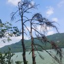 회동수원지 이미지