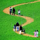 박영철농장 이미지